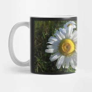 Dewy Daisy Mug